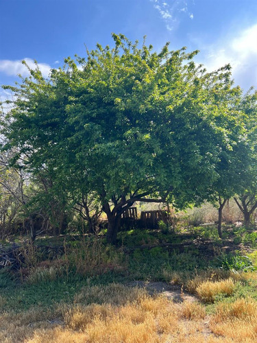 Sitio En Venta En La Serena