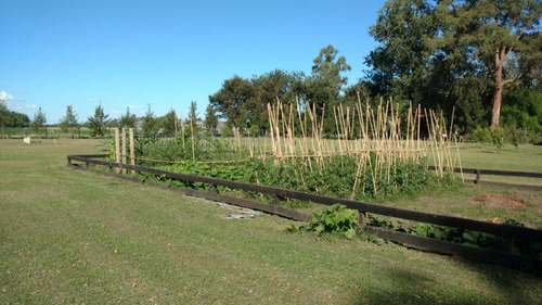 Imagen 7 de 21 de Excelente Casa Quinta 1 Has. 1100 Mts De Rp Nº 29. General Paz. Ranchos. Bs.as