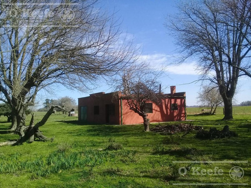 Imagen 8 de 25 de Campo Mixto De 75 Has - Buen Acceso A 3 Km De Ruta 215 - A 1 Hs De Caba