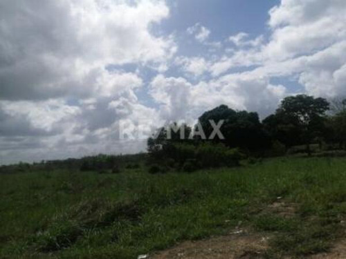 Imagen 2 de 14 de Terreno En Venta En Autopista La Vinotinto. Maturín (14)