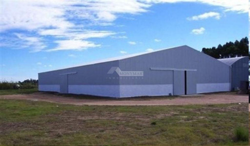 Imagen 7 de 16 de Local Galpon Deposito Colonia Nicolich Alquiler Ruta 101 Y Ruta 102 A 2km Aeropuerto Y 25km Puerto