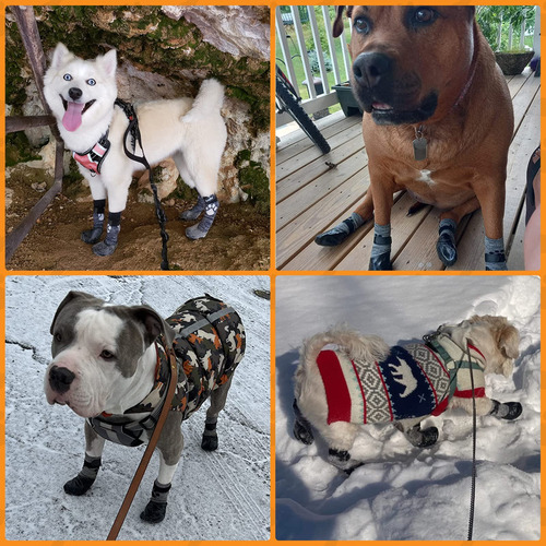 Kooltail Calcetines Antideslizantes Para Perros Para Evitar