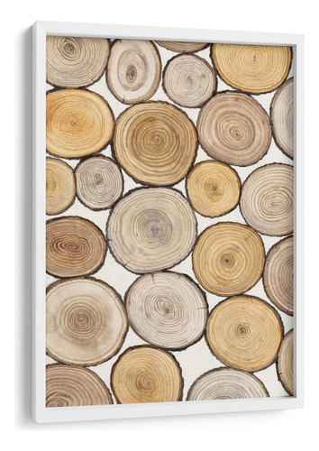 Cuadro Enmarcado Blanco Estudio De Anillo De Árbol I 20x30