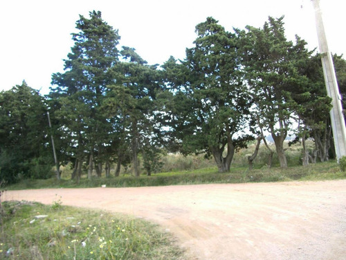 Imagen 2 de 2 de Venta Terreno Barros Blancos