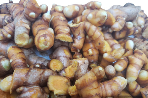 Açafrão Orgânico Fresco- Curcuma 2 Kg