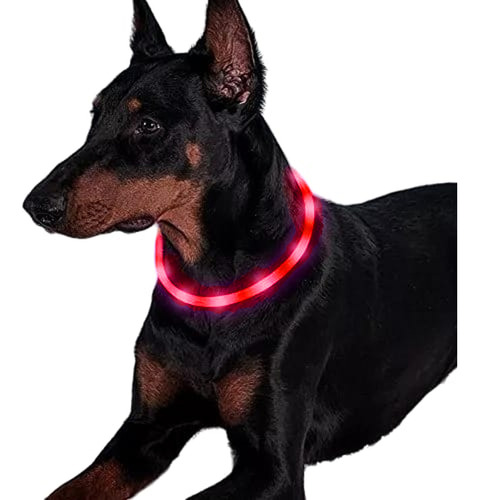 Collar Luces Luz Led Luminoso Para Gat - L a $24990