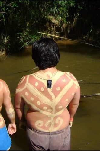 Imagem 17 de 30 de Sítio Com Linda Piscina De Água Mineral, Água Própria, Rio, Fauna E Sol E Parte De Mata Virgem.