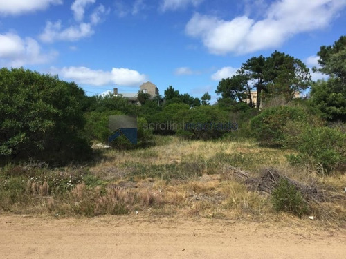 Imagen 5 de 6 de Terreno En Venta Punta Ballena -ref:176