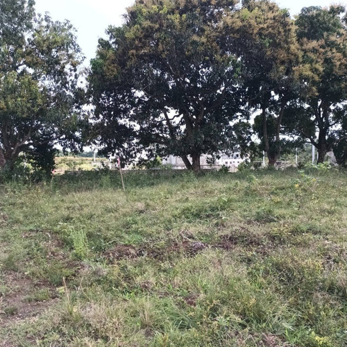 Imagen 9 de 11 de Date Prisa Este Solar Es Tu Oportunidad El Mas Barato / Ubicado En Villa Mella A Solo 10 Minutos De La Parada Del Metro Mamatingo