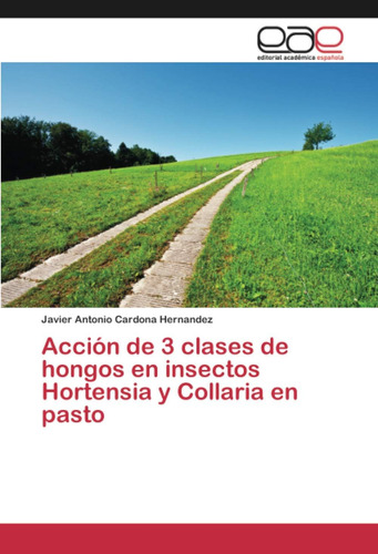 Libro: Acción De 3 Clases De Hongos En Insectos Hortensia Y