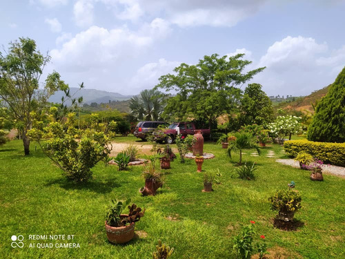 Venta De Finca En Lomas De Nirgua Yaracuy. - Inmobiliaria Maggi 1444