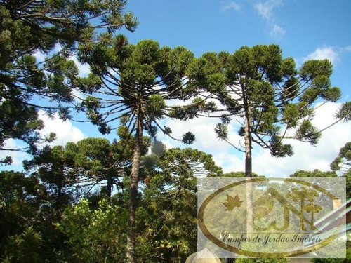 Imagem 8 de 15 de Casa Para Venda Em Campos Do Jordão, Atalaia, 2 Dormitórios, 2 Suítes, 2 Banheiros, 2 Vagas - 39_2-458153