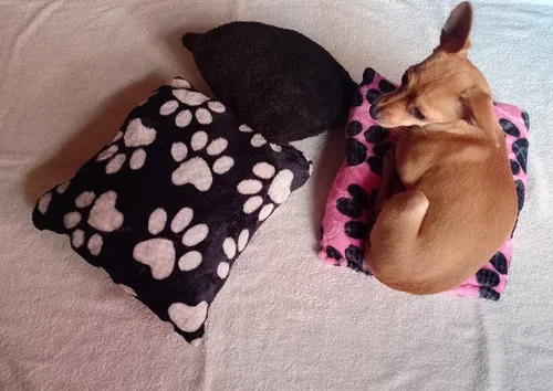 Almohadas Cojines Mantas Para Mascotas Pequeñas X 3 Unidades