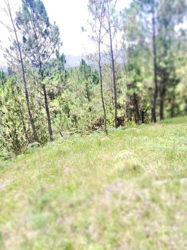 Terrenos En Constanza, Rep.dom.