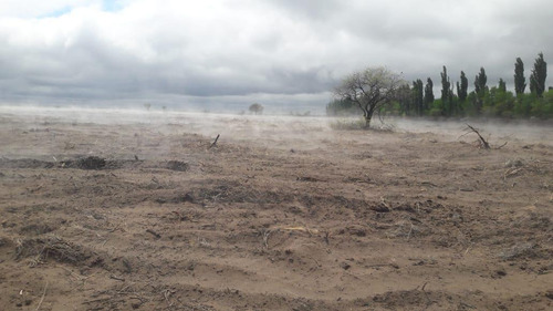 Imagen 13 de 20 de Campo En Venta 400 Ha - Colonia Elena- San Rafael - Mendoza