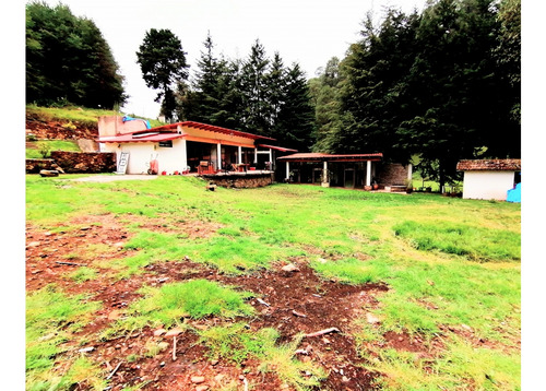 Casa En Renta, Los Saucos Vallede Bravo