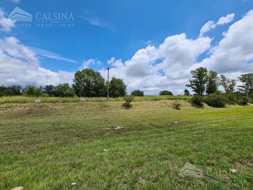 Terreno En Alquiler O Venta - Avenida Padre Luchesse Y Ruta E53 - Villa Allende
