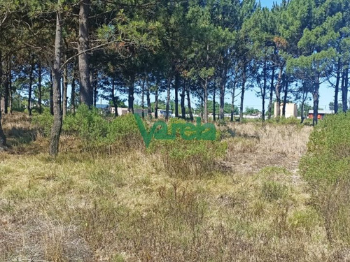 Imagen 10 de 12 de Solymar Venta De Terrenos Financiados