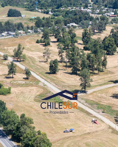 Parcelas En Pichil, Comuna De Osorno