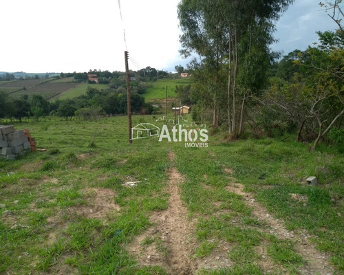 Imagem 11 de 12 de Vendo Sitio Em Elias Fausto - St00031 - 69569371