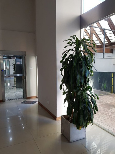 Departamento Piso 3 Ambientes Mas Escritorio Y Cochera Doble En Bernal Centro