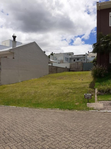 Imagem 2 de 30 de Terreno - Te00024 - 69351236