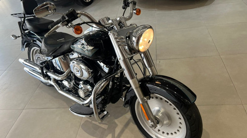 Harley Davidson Fatboy 2008/2008 Impecavel