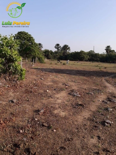 Imagem 3 de 7 de Fazenda À Venda Em Centenario - To - De 246 Alqueirões (dupla Aptidão) - 1500