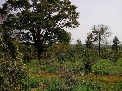 Imagen 7 de 7 de Loteo Don Carlos - Guaraní - Oberá Misiones