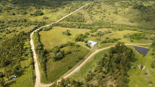 Chacra En Venta Maldonado, Gran Tapera Rec. 240m De Arroyo (ref: Bpv-10530)