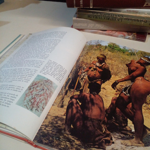 Condenados A Desaparecer - National Geographic Society (Usado)
