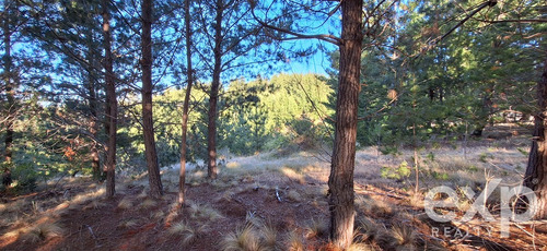 Vende Rebajado Parcela 1 Has Con Vista Al Mar, Pichilemu