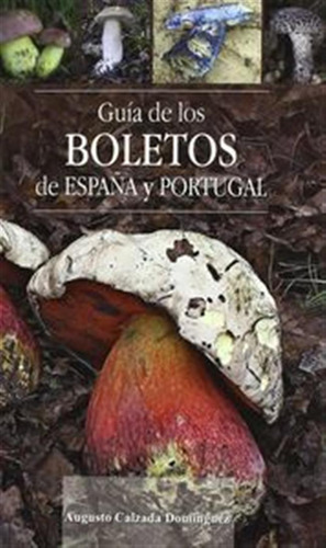 Guia De Los Boletos De España Y Portugal O,varias - Calzada