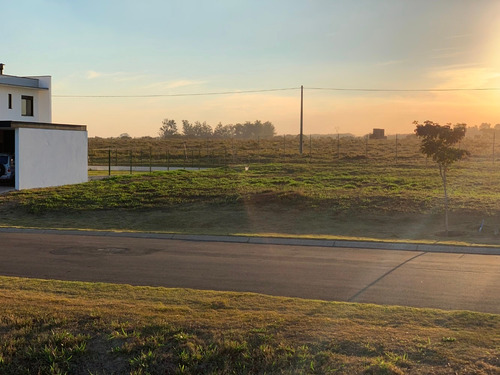 Imagem 13 de 14 de Haras Patente - O Melhor Terreno Do Bairro - Jaguariúna