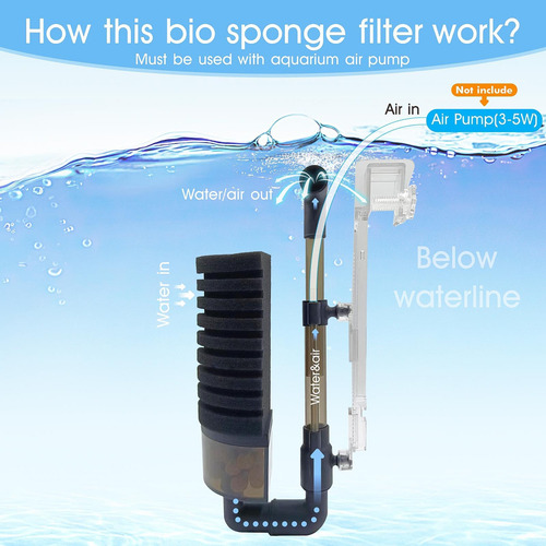 Filtro De Esponja De Aire Para Acuario De 5 A 10 Galones Con