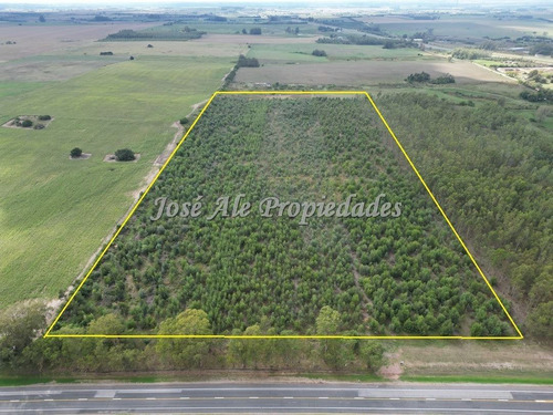 En Venta Campo De 8 Ha Y 8 Hectáreas Y 7883 Metros En Radia