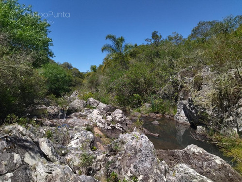 Imagen 4 de 15 de Chacras Financiadas En Aiguá - Maldonado