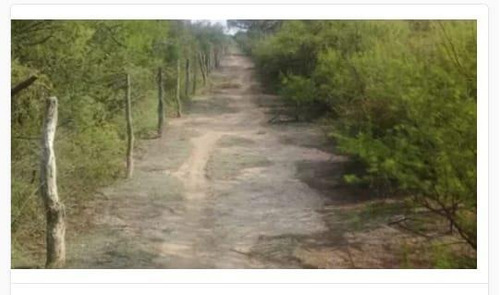Imagen 15 de 19 de Campo - El Chacho