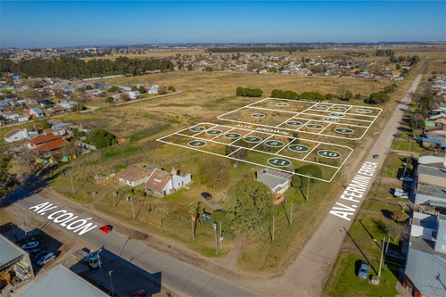 Imagen 3 de 12 de Terreno En Venta En Mar Del Plata