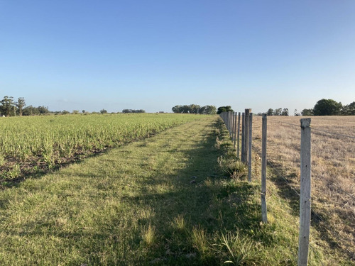 Imagen 5 de 14 de Campo De Casi 12 Hás En Ruta 40