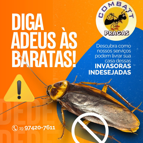 Dedetização E Controle De Pragas Urbanas Combatt Pragas!