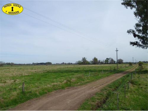 0976hp- 83 Ha (52 Ha + 31 Ha) - Open Door-manzanares