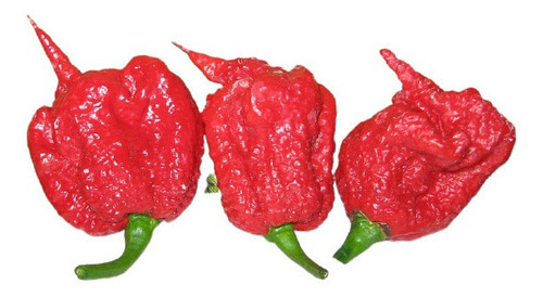 Imagem 2 de 4 de Sementes De Pimenta Carolina Reaper - Mais Ardida Do Mundo!