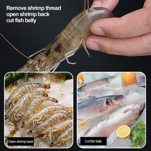 Removedor De Escamas De Pescado Escamador De Pescado Kit De