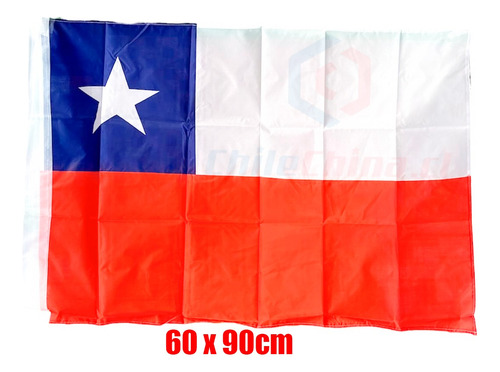 Pack 12 Banderas De Chile 60x90cm Fiestas Patrias 23871-28