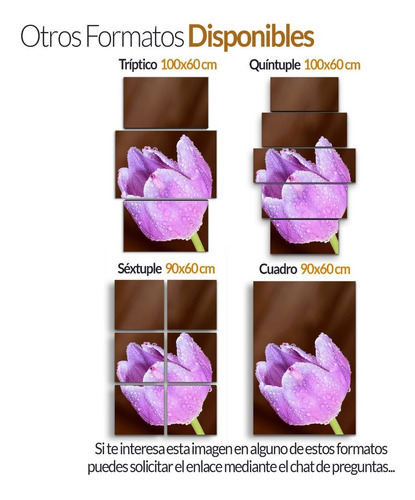 Cuadro Decorativo Moderno Tulipanes Jd-0418 G Tríptico 100x60 Cm Sin Marco