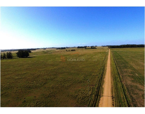 Imagen 24 de 30 de Campo Fraccionamiento En Rocha A Poca Distancia De Ruta 9, 58 Hás Fraccionada