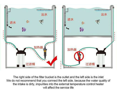 A Temperatura Externa Del Acuario Con Varilla Calefactora