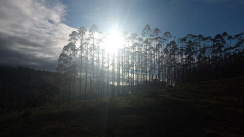 Imagem 3 de 14 de 16- Terrenos 100% Documentados, Arujá-santa Isabel