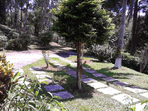 Chacara - Ch00024 - 33641904